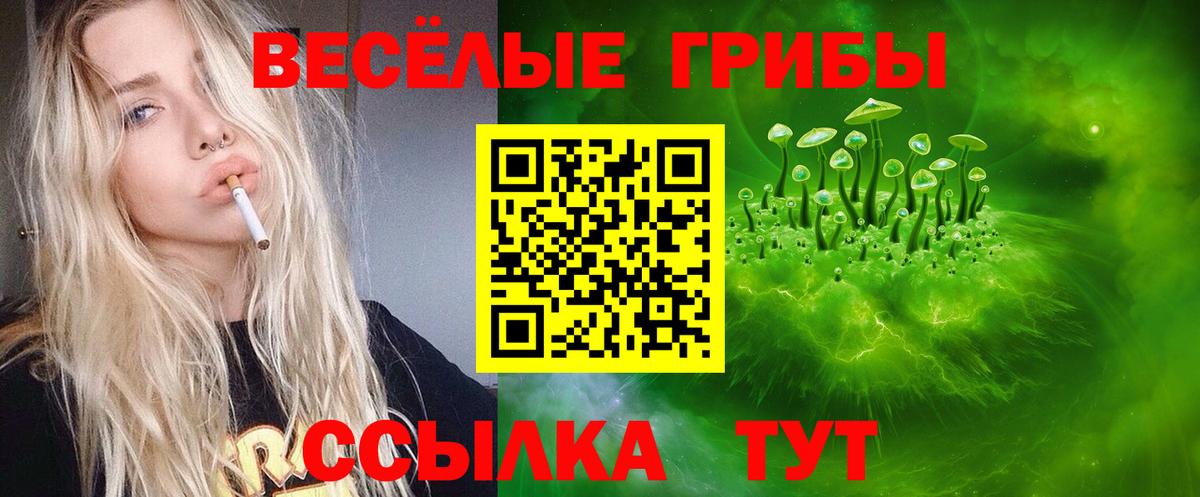 Псилоцибиновые грибы MAGIC MUSHROOMS Шахты