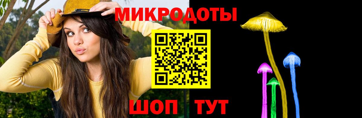 Шахты  Псилоцибиновые грибы Psilocybe  Вход с VPN 